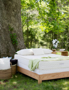 Savvy Rest Serenity Organic Latex Mattress