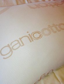 eco silk organic pillow