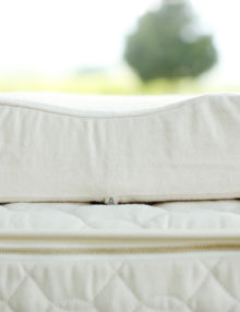 Savvy Rest Organic Contour Pillow