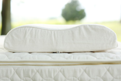 Savvy Rest Organic Contour Pillow