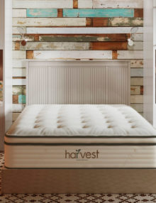 Harvest Green Pillow Top Mattress in Bedroom