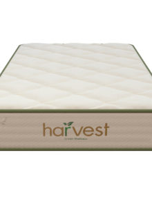 Harvest Green Essentials Mattress