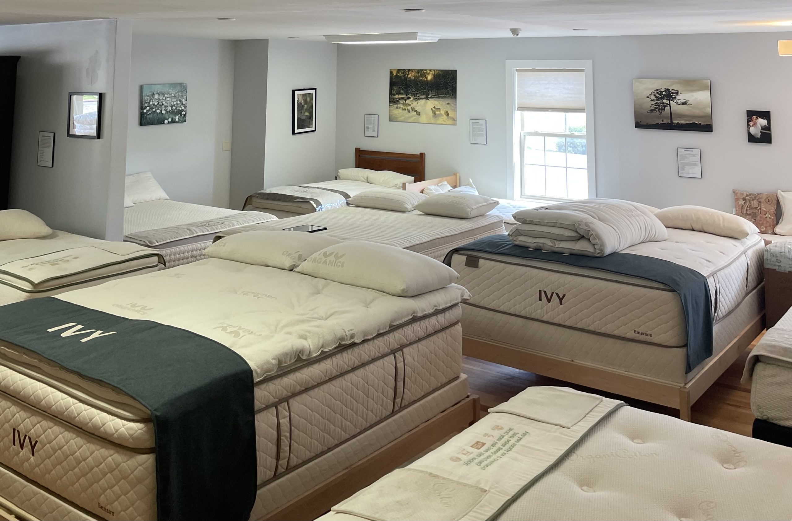 Natural Mattress Company VT Storeroom with Organic Latex Mattresses