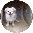 Susan Swogger profile picture