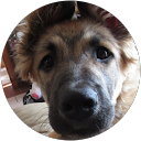 Kitchi1 profile picture